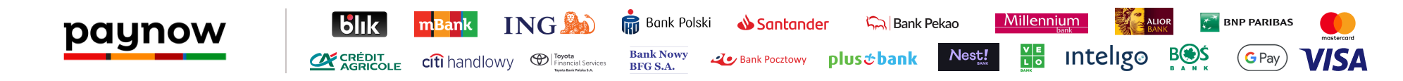 Paynow: BLIK, przelewy bankowe, Mastercard, Visa i Google Pay